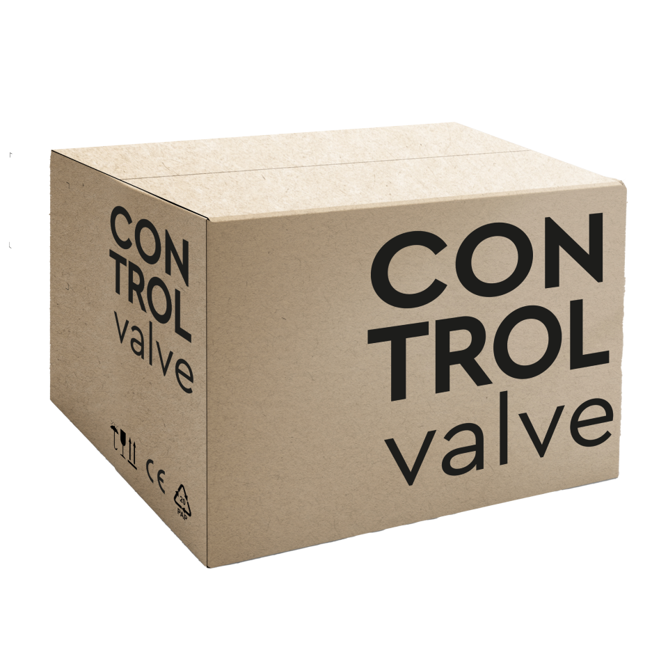 Water Specialist 1” CE Twin Alternating Control Valve