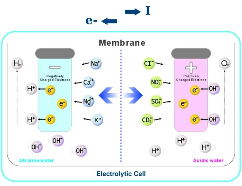 How does a water ionizer work?