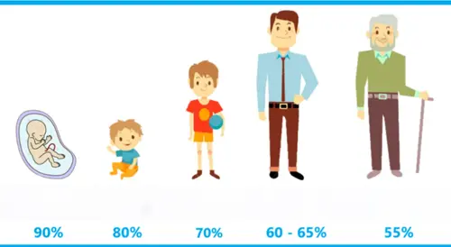 The Percentage of Water in the Human Body