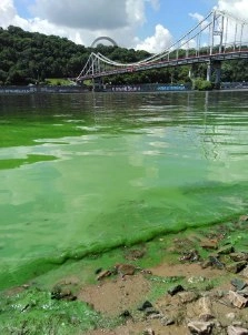 treating turbid river water