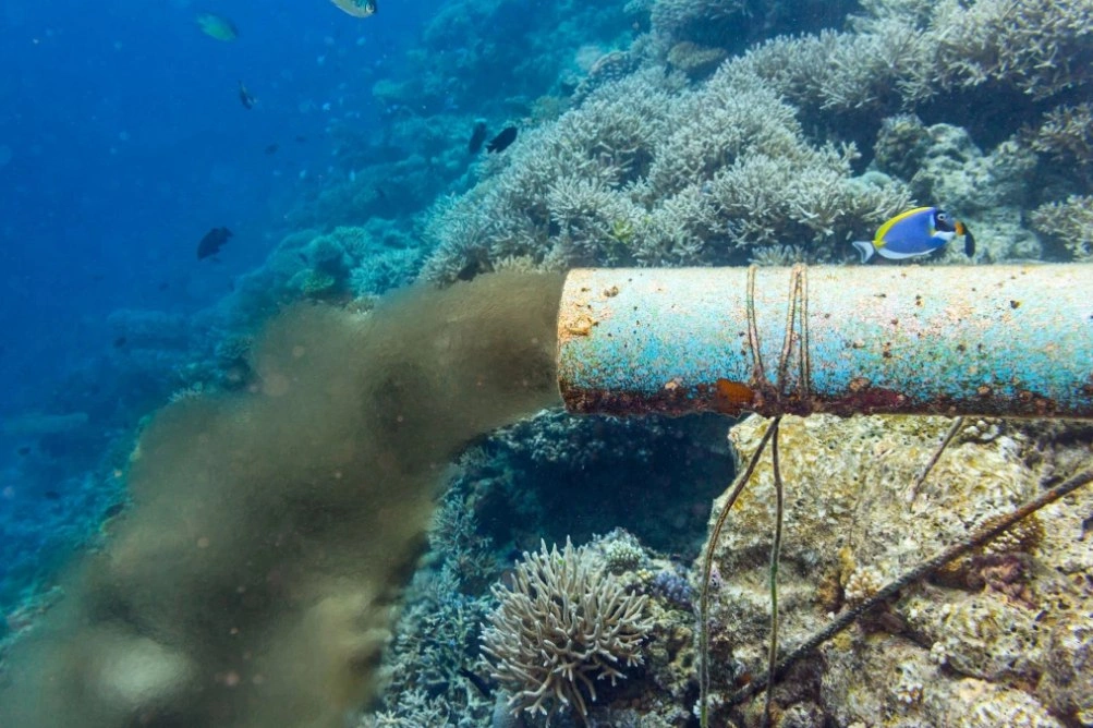 harm of water with coral